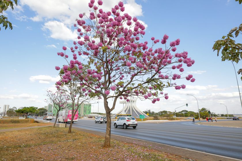 Foto Ag. Brasília