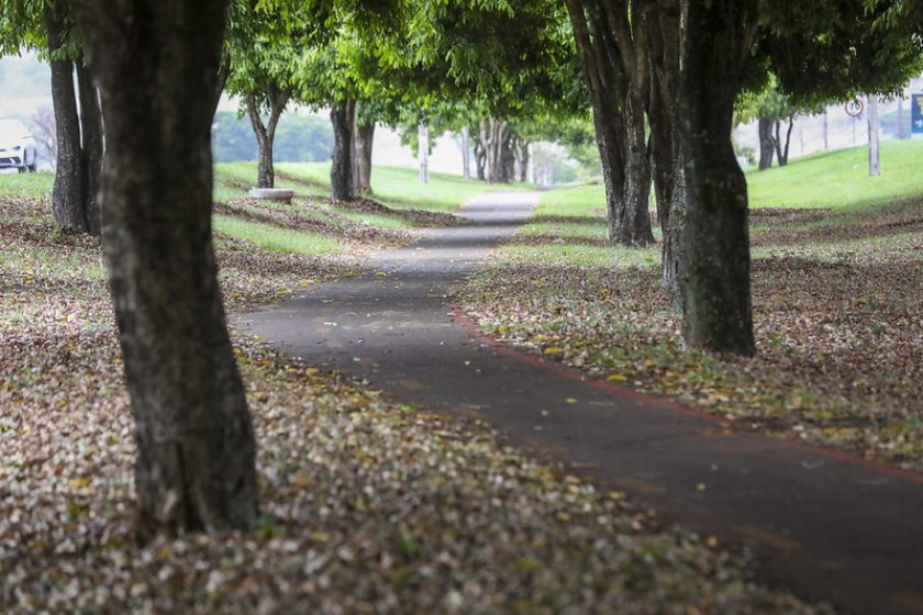 Fotos: Matheus H. Souza/Agência Brasília