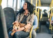 Woman traveling with her dog in the bus