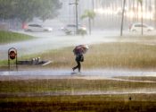 Foto: Joel Rodrigues/Agência Brasília