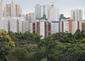 Foto: Joel Rodrigues/Agência Brasília