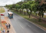 Foto: Tony Oliveira/Agência Brasília