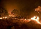 Foto: Jader Souza/AL Roraima/Agência Brasil