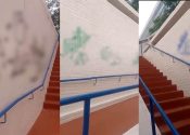 Imagens: Reprodução