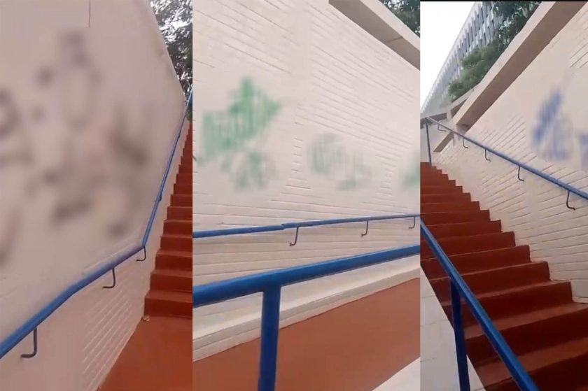 Imagens: Reprodução
