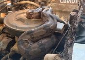 Foto: Divulgação/CBMDF