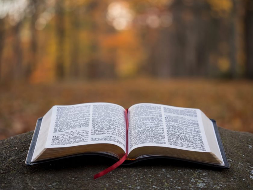 biblia