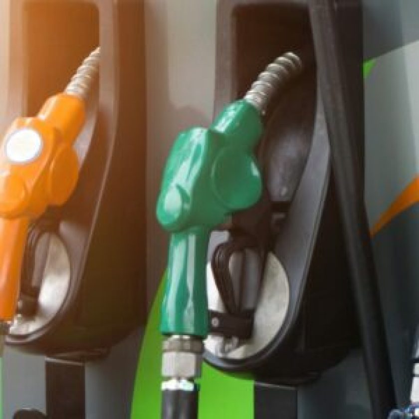 Foto: Divulgação/IPEDF