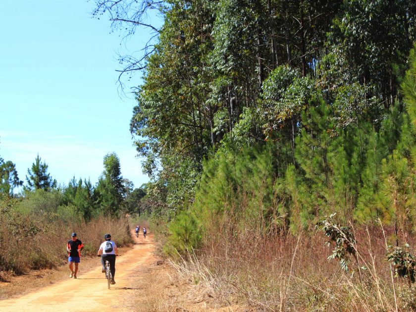 Foto: Danúbia Melo/ICMBio