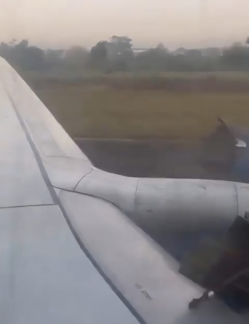 Reprodução da Internet