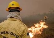 Foto: Ibama/Divulgação