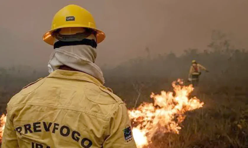 Foto: Ibama/Divulgação