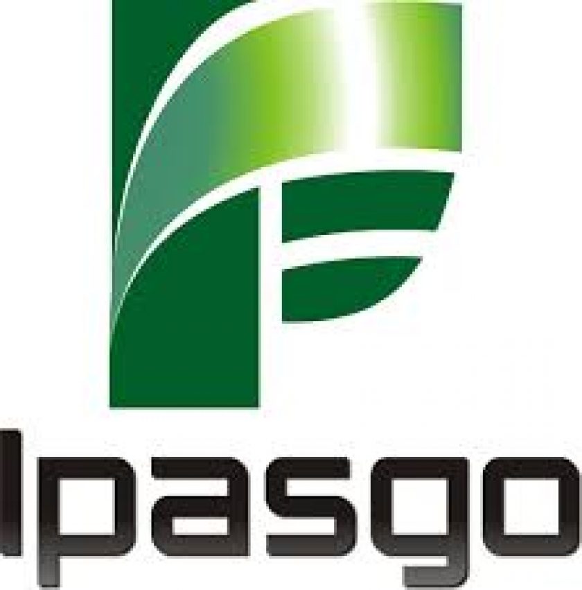 ipasgo-DFMOBILIDADE