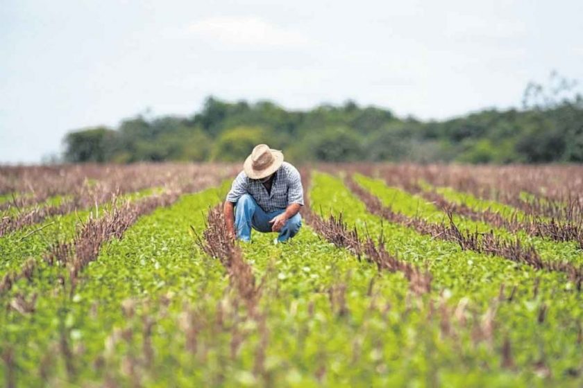 marketing-para-o-produtor-rural-como-fazer-1024x683