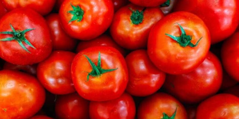 tomate-800x400