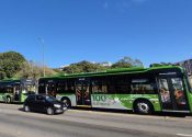 Foto: Divulgação/Agência Brasília